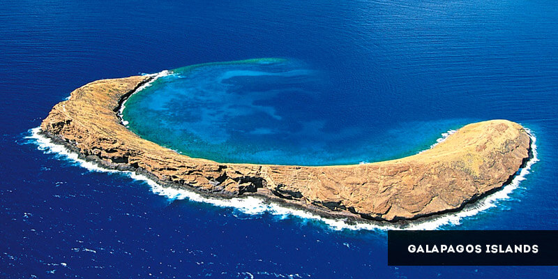 Famous Places to Visit in South America - Galapagos Islands